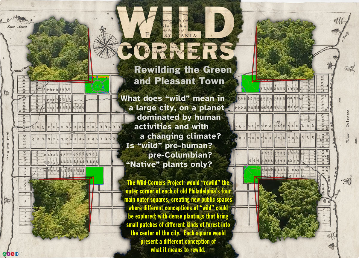 wild corners project image